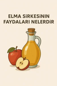Elma Sirkesinin Faydaları Nelerdir?